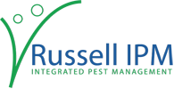RUSSELL IPM